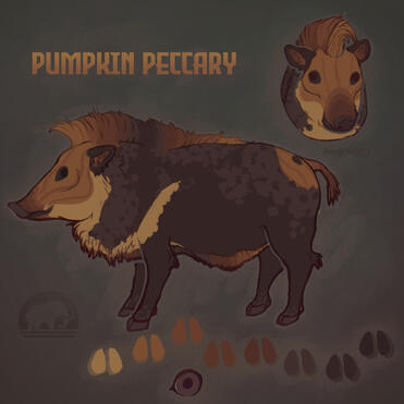 pumpkin adop